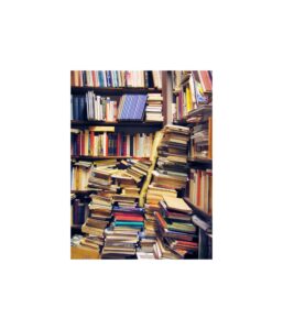 18. vintage book store