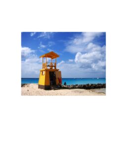 35. lifeguard, barbados