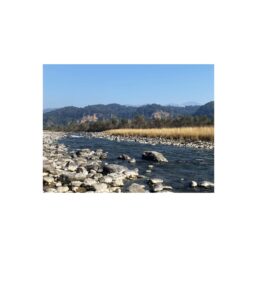 06. ramganga, corbett national park