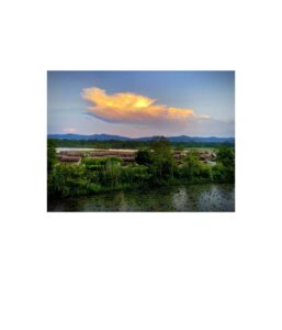 04. the terai, chitwan
